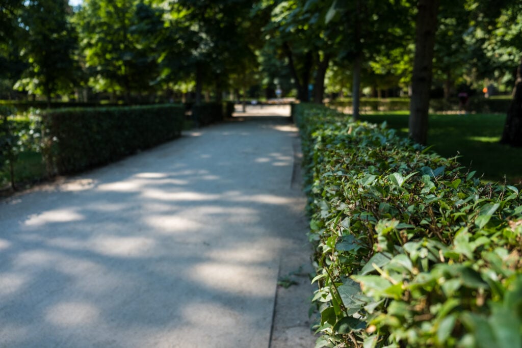 Who's Responsible for Park Injury Liability?