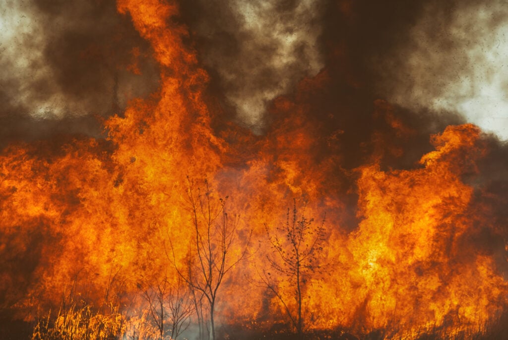 Las Vegas Wildfire Season Injuries | Personal Injury Lawyer