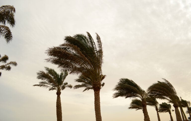 Las Vegas Wind Accident | Personal Injury Lawyer