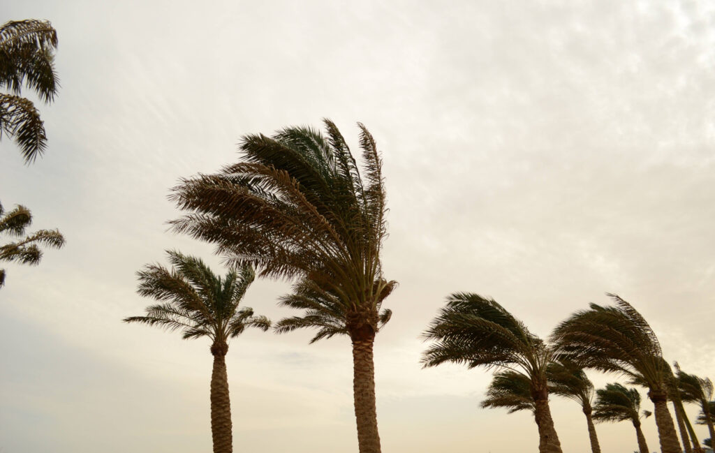 Las Vegas Wind Accident | Personal Injury Lawyer